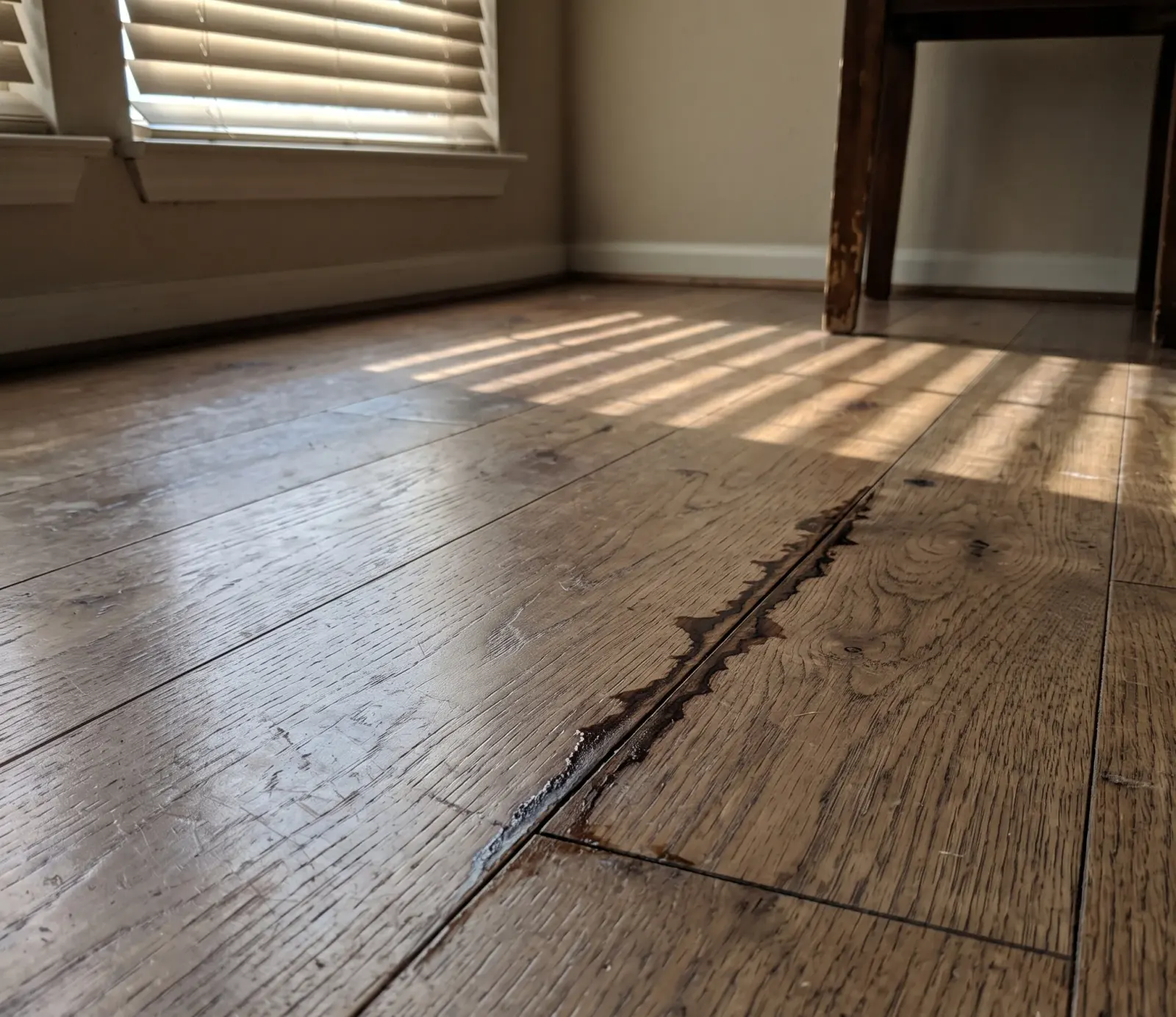 Hardwood Floor Water Extraction service in Spokane Valley, WA
